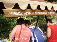 Království perníku 2009 - 1.světová výstava perníkového zvířectva