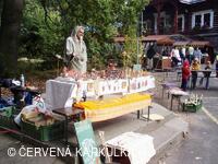 Království perníku 2009