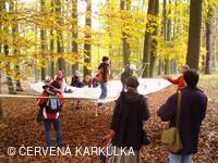 Perníkiáda 2009 - pavoučí síť