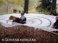 Perníkiáda 2009 - pavoučí síť