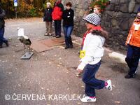 Perníkiáda 2009 - Čapí stoj na jedné noze