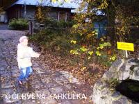 Perníkiáda 2009 - Běh pro živou vodu