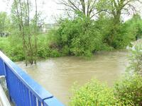 Odra - hranice mezi Vražným a Mankovicemi v pondělí 17.5.2010 - proti proudu