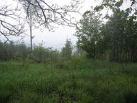Hodslavice