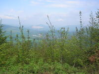 Hodslavice