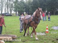Hubertova jízda