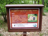 Sousedské slavnosti 2010