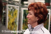 Výstava obrazů Antonína Kroči