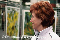 Výstava obrazů Antonína Kroči