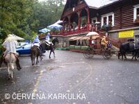 Království perníku 2010 - příjezd krále perníku (bohužel v dešti)