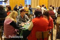 Oddíl ZRTV "HOLKI SOKOLKI"