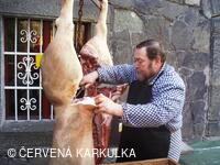 Probuzení a narozeniny Ježibaby 2011