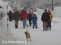 zimní radovánky 19.1.2013