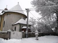 sněhová krása
