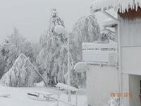 Ceník služeb areálu LK SVINEC Nový Jičín