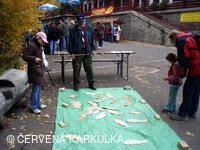 PERNÍKIÁDA s VŘSR u Perníkové chaloupky 28. 10. 2011