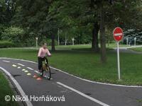 * Z DĚNÍ VE MĚSTĚ