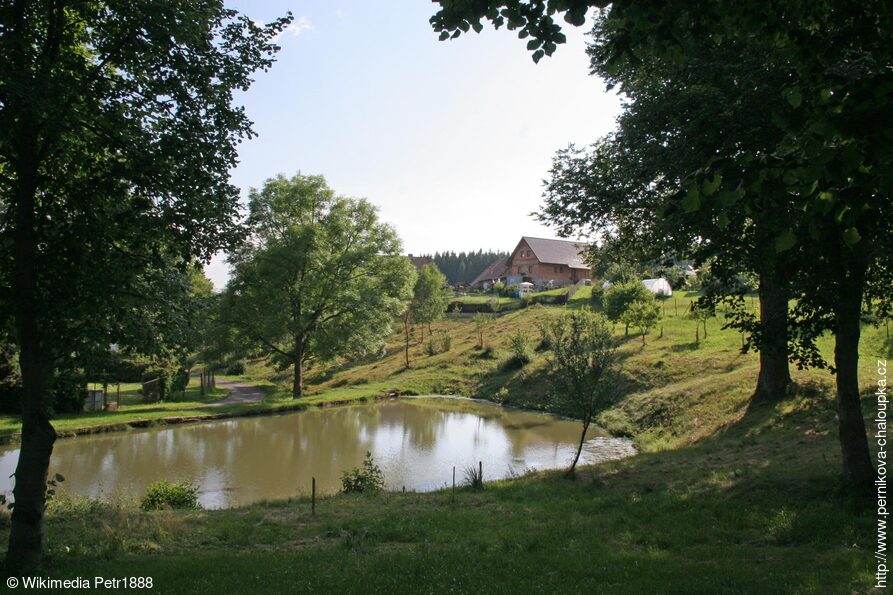 Vršov, návesní rybník