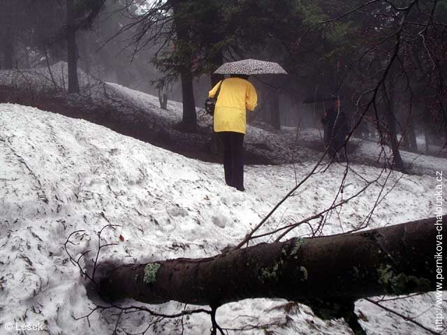 KČT odbor 70 010 HODSLAVICE