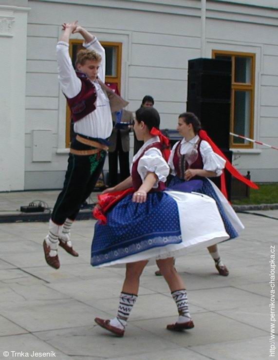 Folklorní soubor Trnka