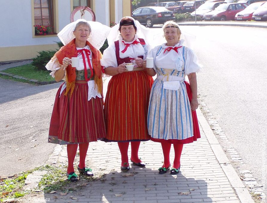 Mezinárodní folklorní festival Česká náves - Dýšina