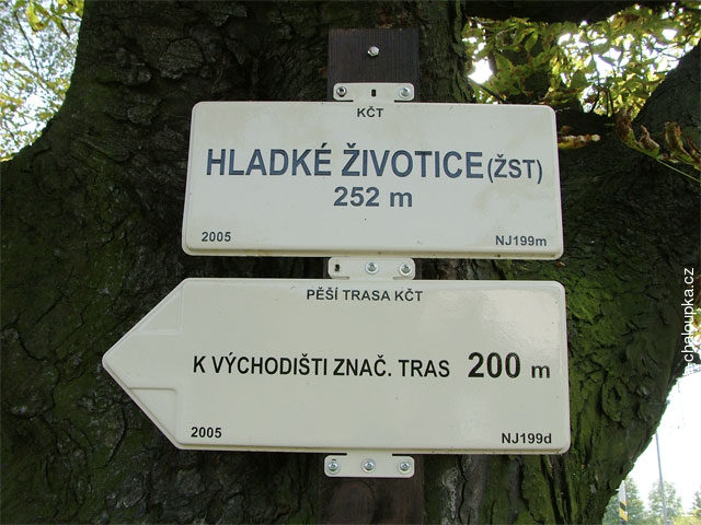 orientační tabule na stromě u vlakového nádraží