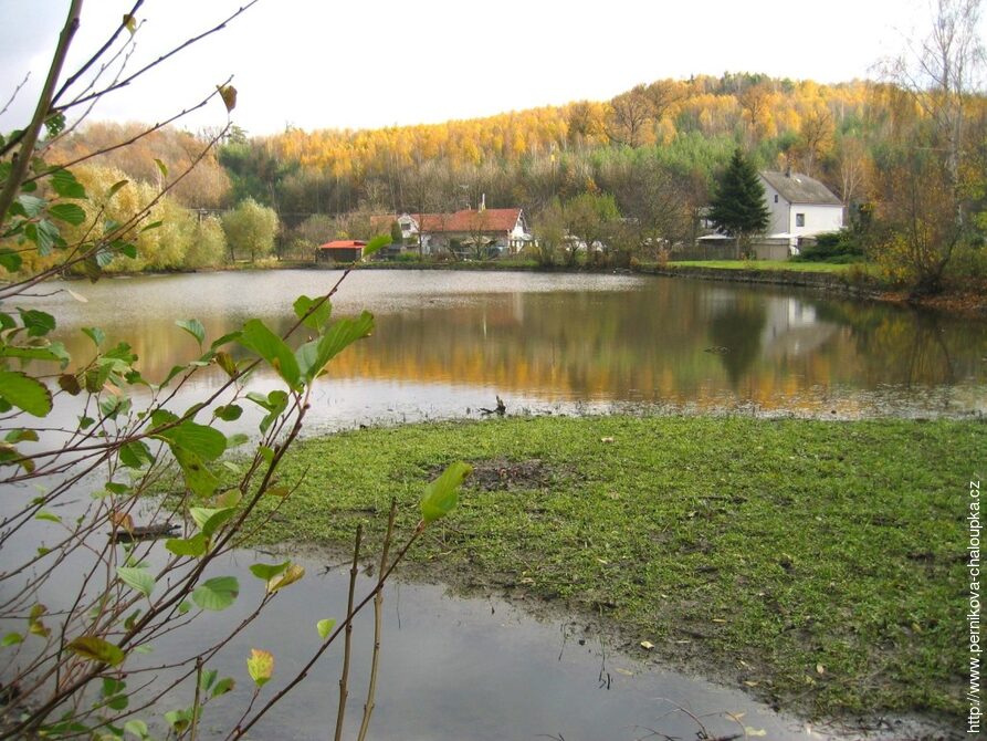 Brloh - rybník