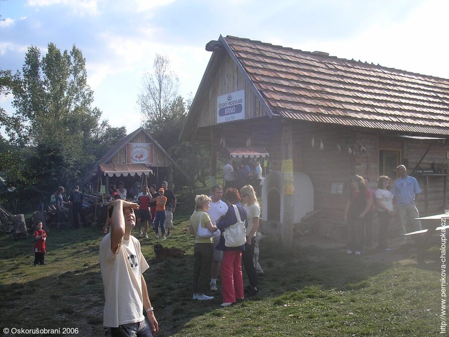 Jeřáb oskeruše (Sorbus domestica)
