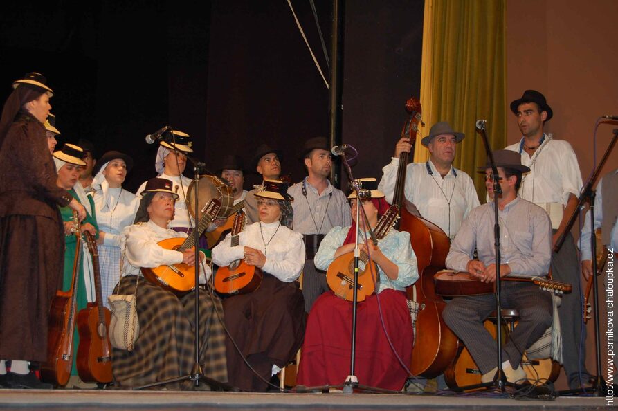 Mezinárodní folklorní festival Frýdek-Místek
