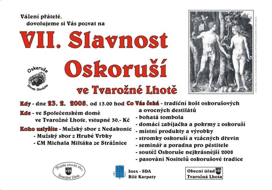 Jeřáb oskeruše (Sorbus domestica)