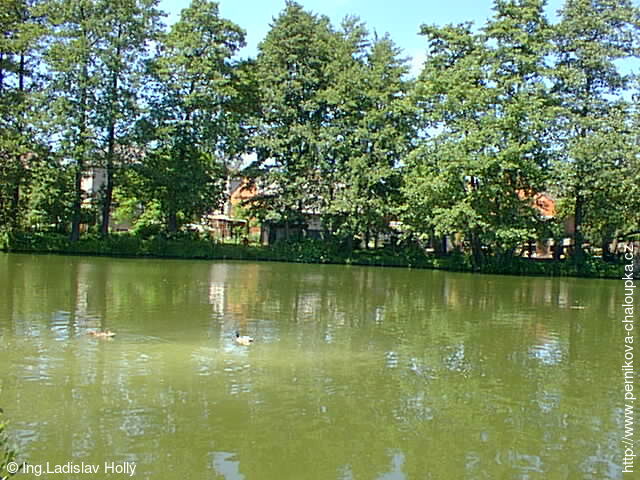 Kobeřický rybník