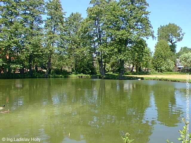 Kobeřický rybník